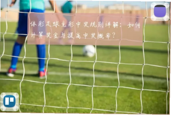 体彩竞猜真的能提高中奖概率吗？